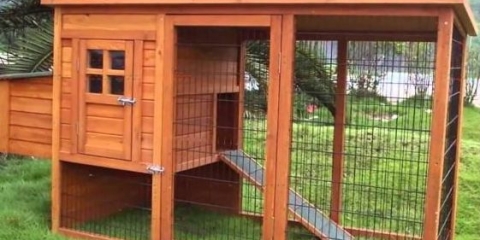 Kako napraviti kokošinjac od paleta